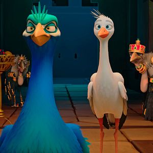 Foto Una Cigüeña En Apuros: La Joya Perdida