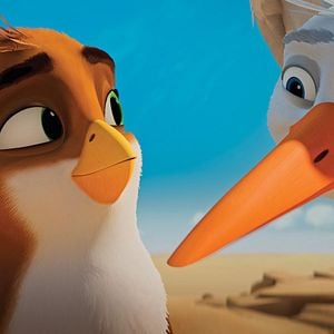 Foto Una Cigüeña En Apuros: La Joya Perdida