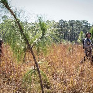 Foto 65: Al Borde de la Extinción
