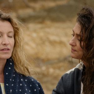 Foto El libro de los deseos