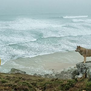 Foto El libro de los deseos