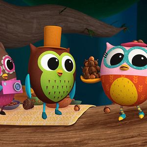 Foto Diario de una lechuza