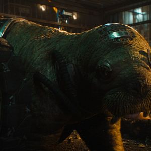 Foto Guardianes de la galaxia Vol. 3