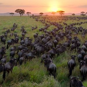 Foto Nuestro Planeta