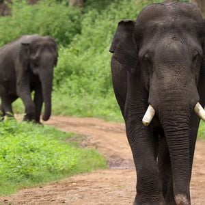 Foto Nuestro Planeta