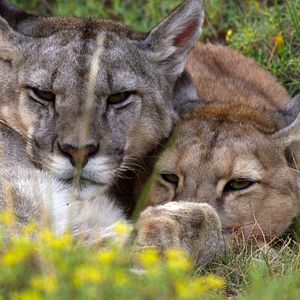 Foto Nuestro Planeta
