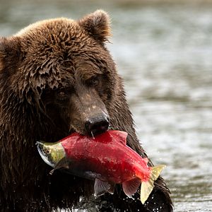Foto Nuestro Planeta