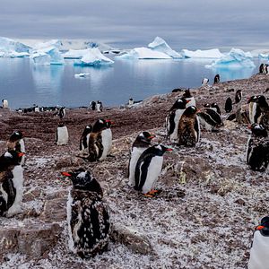 Foto Nuestro Planeta
