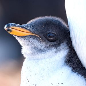 Foto Nuestro Planeta