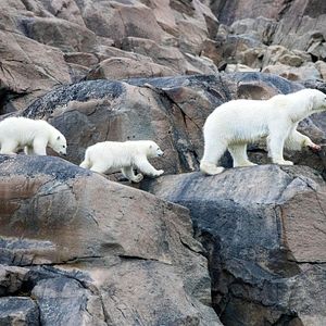 Foto Nuestro Planeta
