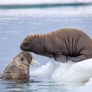 Foto Nuestro Planeta