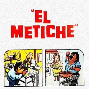 Foto El Metiche