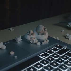 Foto Marcel The Shell With Shoes On