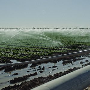 Foto Intoxicación: La cruda verdad sobre nuestra comida