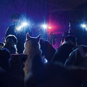 Foto Dogman: Vida inquebrantable