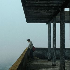 Foto Inside the Yellow Cocoon Shell