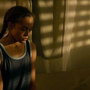 Foto El Maestro Jardinero