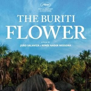Foto The Buriti Flower