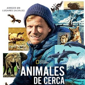 Foto Animales de cerca con Bertie Gregory
