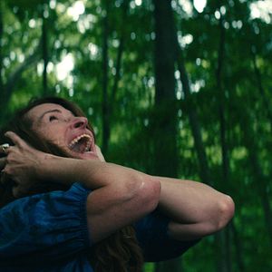 Foto Dejar el mundo atrás