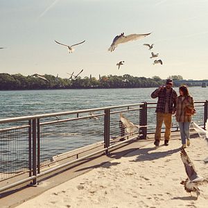 Foto The Nature of Love