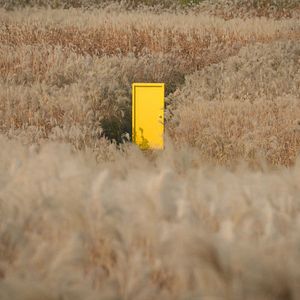 Foto Yellow Door: '90s Lo-fi Film Club