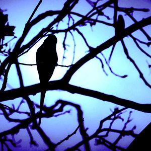 Foto Sound Of Cologne