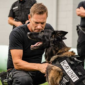 Foto Perro guardián