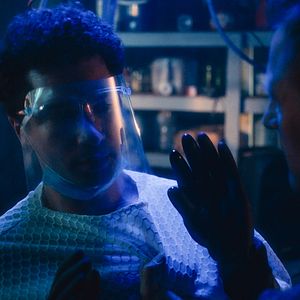 Foto Perro guardián