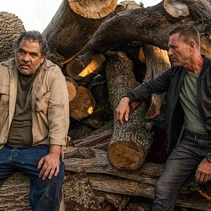 Foto Perro guardián