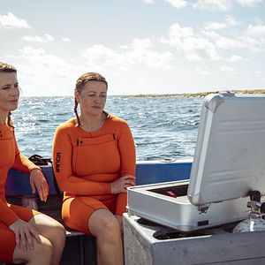 Foto 007: Camino al millón