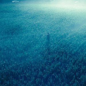 Foto Criaturas Asombrosas