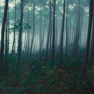 Foto Criaturas Asombrosas