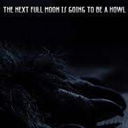 Foto Full Moon Fever