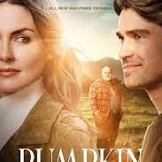 Foto Pumpkin Everything