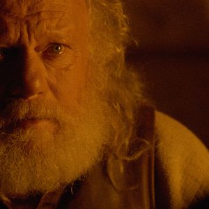 Foto Pacto con lobos