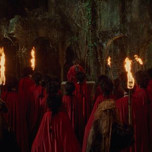 Foto Pacto con lobos