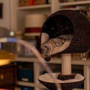 Foto Argylle: Agente Secreto