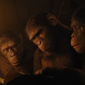 Foto El Planeta de los Simios: Nuevo Reino