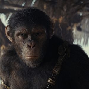 Foto El Planeta de los Simios: Nuevo Reino