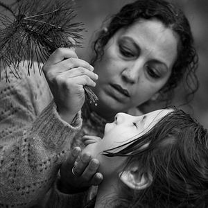 Foto The Green Border