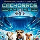 Foto Cachorros espaciales