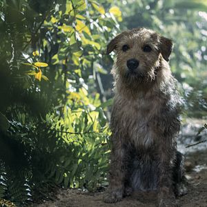 Foto Arthur: Una Amistad Sin Limites