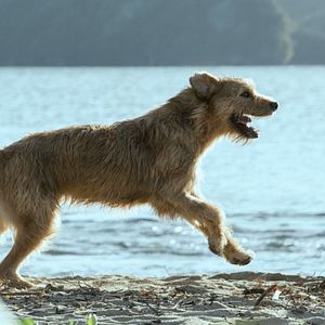Foto Arthur: Una Amistad Sin Limites