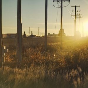 Foto Hate to Love: Nickelback