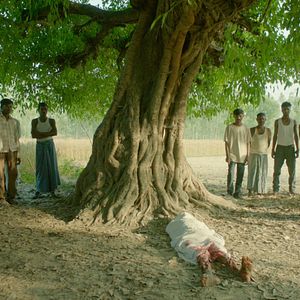 Foto In the Belly of a Tiger