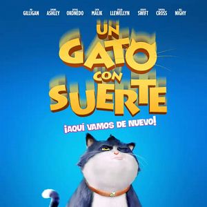 Foto Un gato con suerte