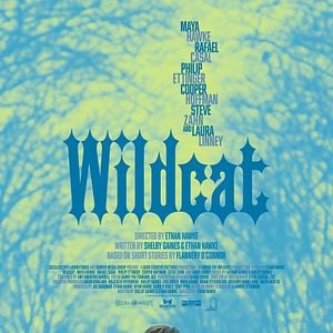 Foto Wildcat