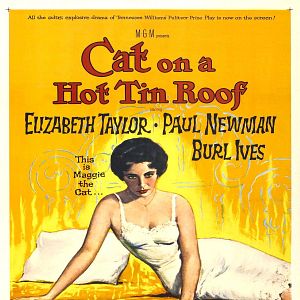 Foto La gata sobre el tejado de zinc