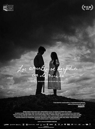 Cartel de Los amantes se despiden con la mirada